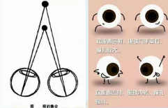 什么是眼的集合功能