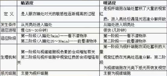 从明处到暗处为什么需要适应?